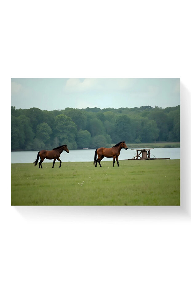 Tablou - Doi cai - 2