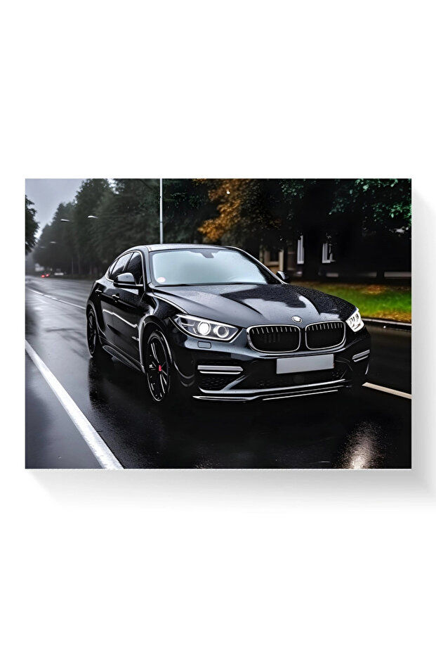 Tablou - BMW - 1