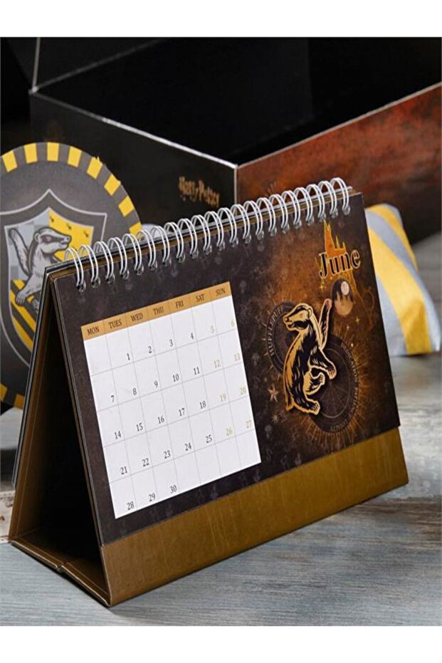 Wizarding World Hufflepuff Box - 1