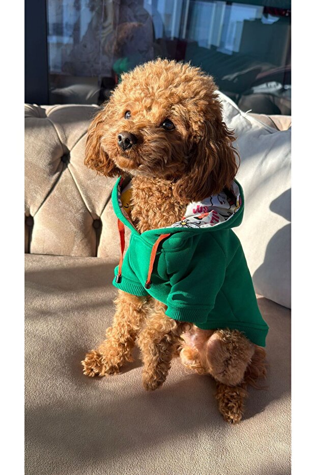Dog Sweatshirt, Small Breed Dog Outfit