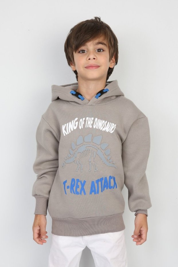 Three Yarns Ş Fleece-Lined B Printed Hooded Boy's Casual Sweatshirt