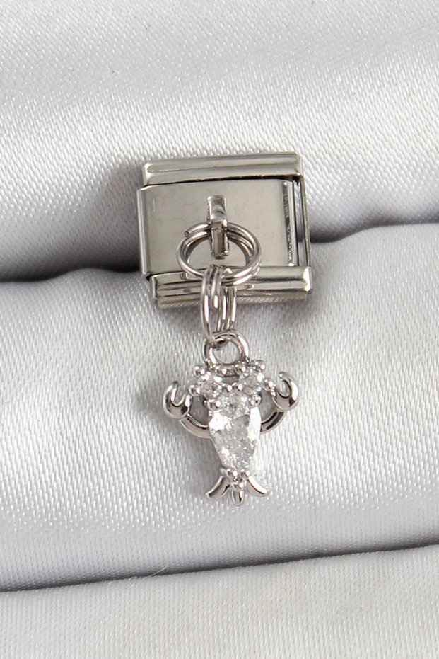 316L Steel Dangle Zircon Stone Ygeç Model Silver Rk Nomination Charm