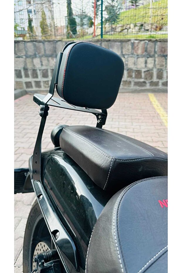Nevada Sissy Bar - 3