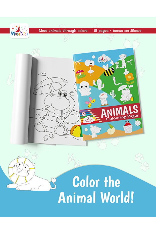 Animals Boyama Kitabı