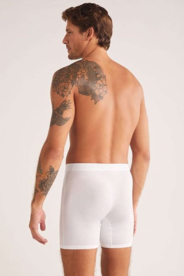 TEO ERKEK BOXER - 3