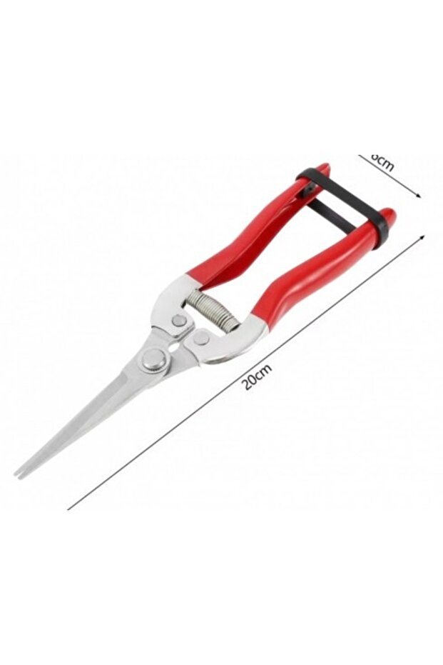 Right-hand vegetable/fruit picker - 3