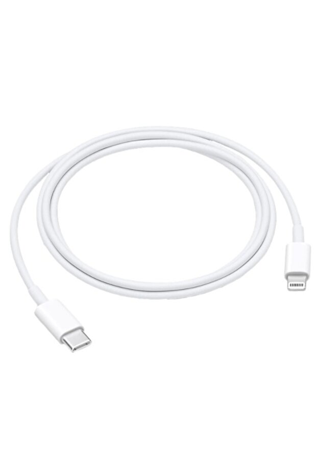 IPHONE Data and Charging Cable 2.0 m Type C - 2