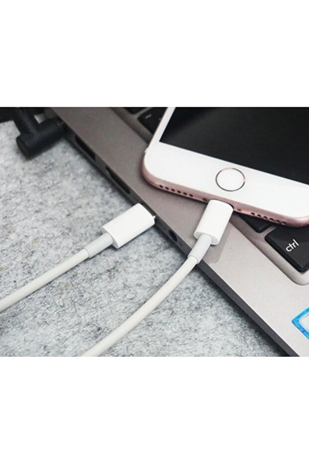 IPHONE Data and Charging Cable 2.0 m Type C - 3