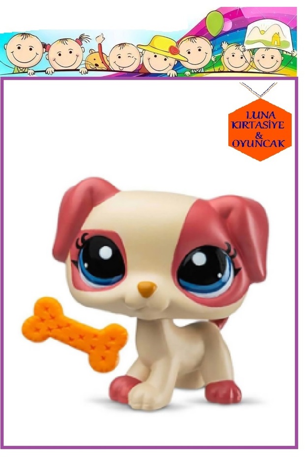 TEKLİ MİNİŞ KÖPEK - 1