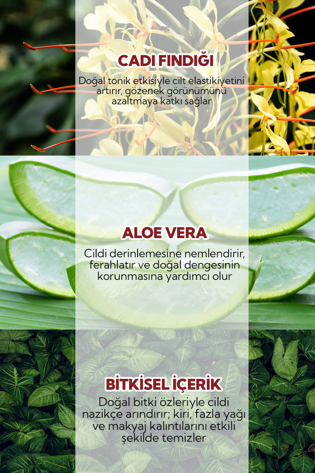 Cadı Fındığı Aloe Vera Tonik 200 ml - 3