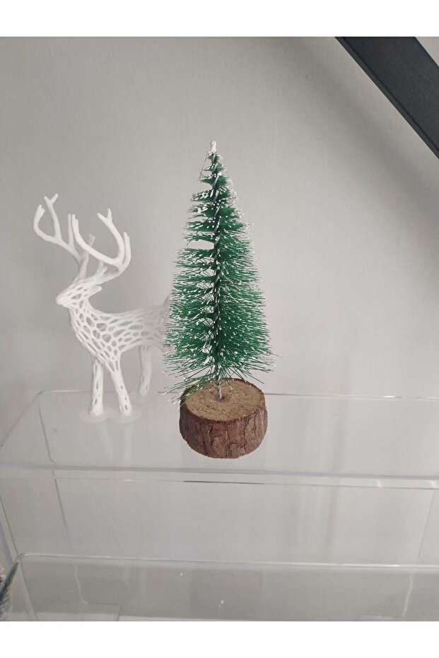 mini çam ağacı 15cm