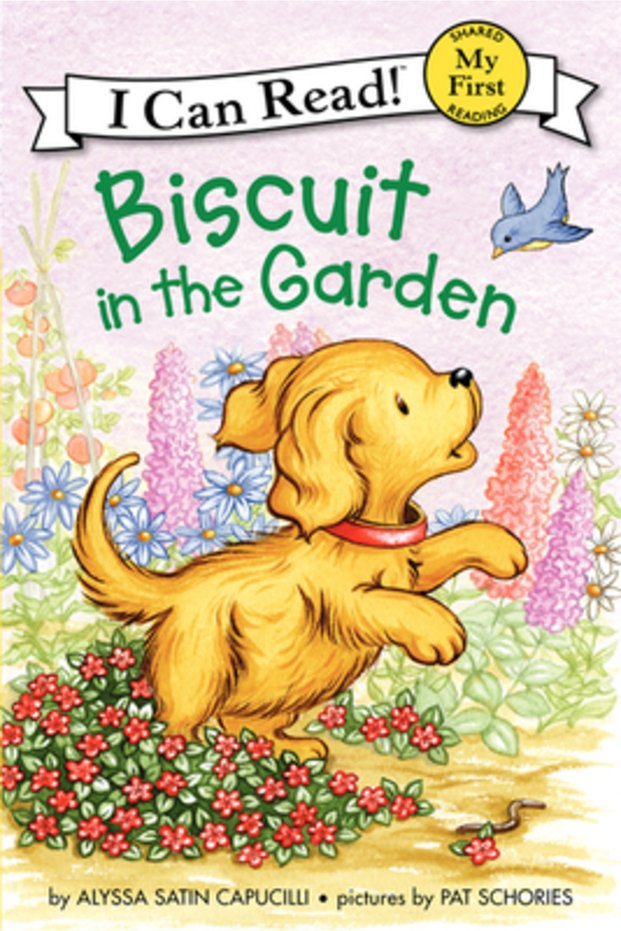 Biscuit în grădină