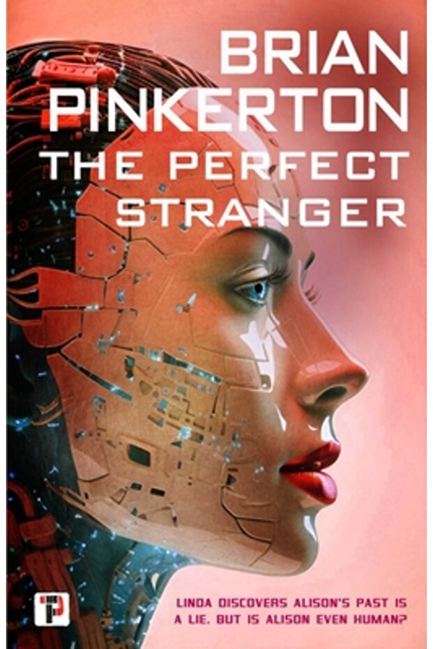 Străinul perfect - 1