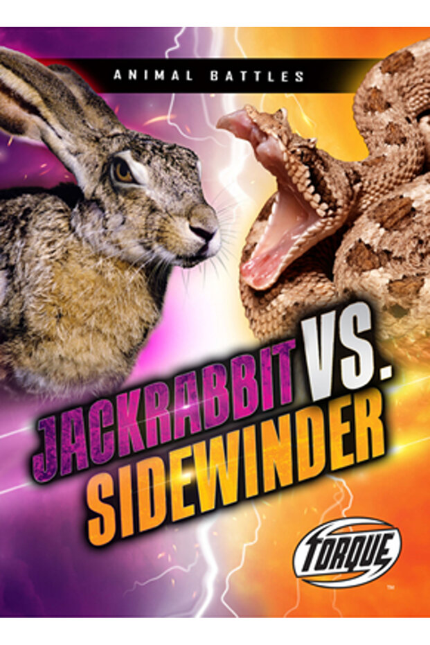 Jackrabbit vs. Sidewinder - 1
