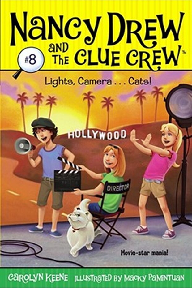 Lights, Camera . . . Cats! - 1