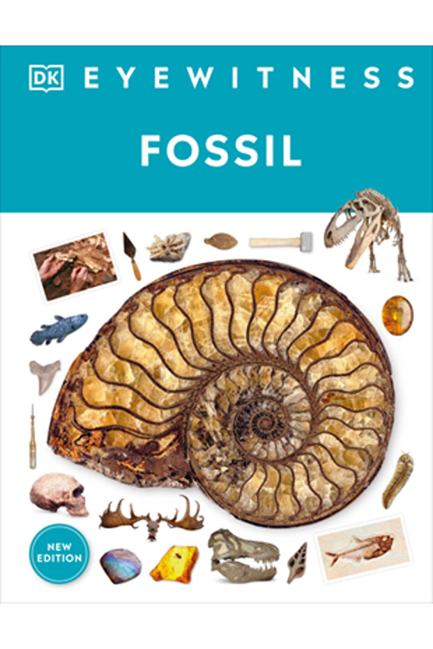 Fosila martor ocular - 1