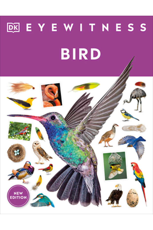 Pasărea martoră oculară - 1