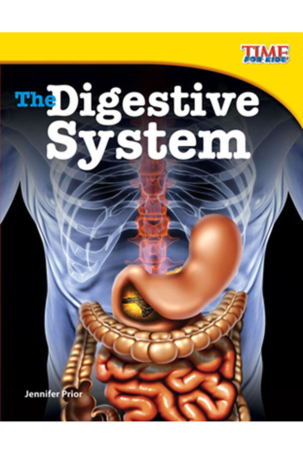 The Digestive System - 1