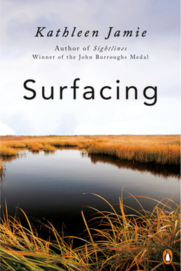 Surfacing - 1