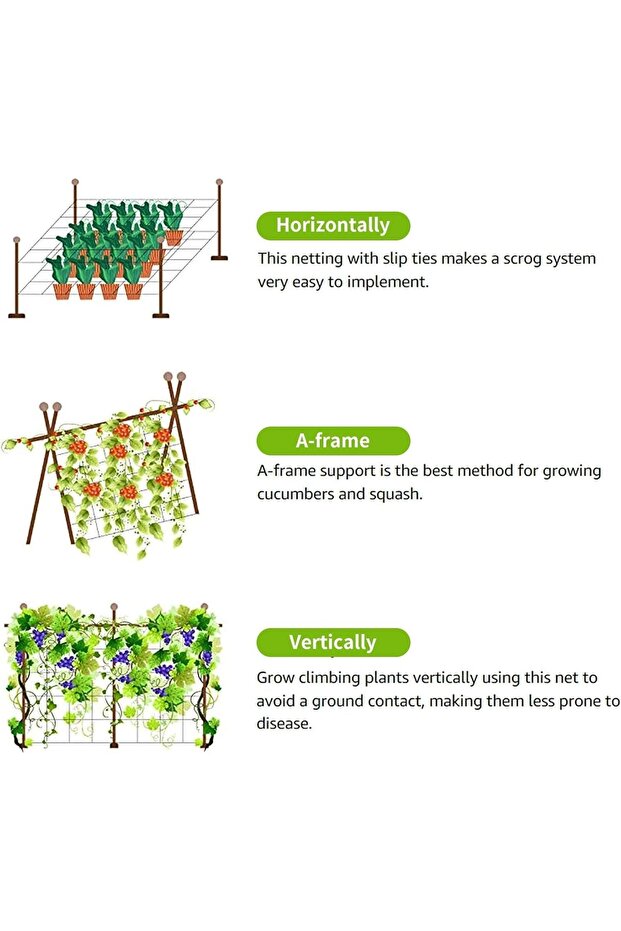 Garden Trellis Netting - 6