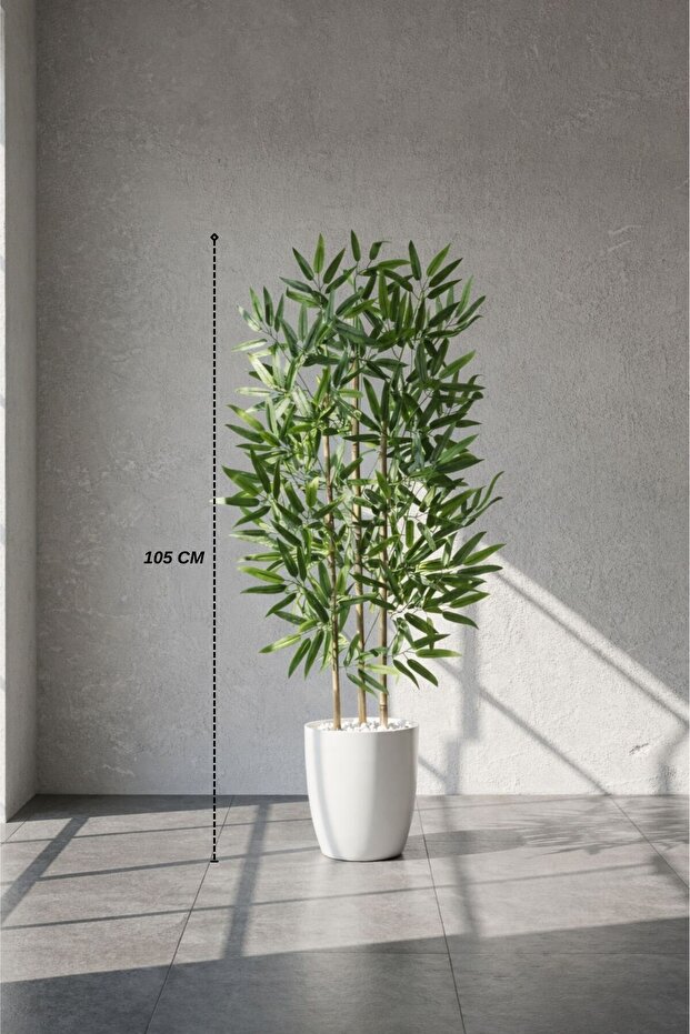 110 cm Bambu Ağacı Yakut Saksıda - 2