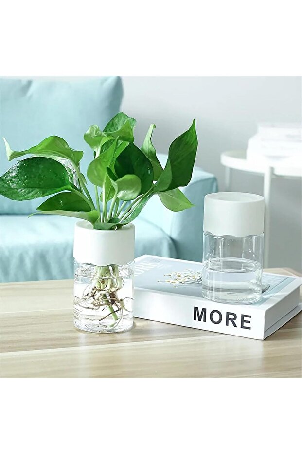 أواني زهور صغيرة من - 5