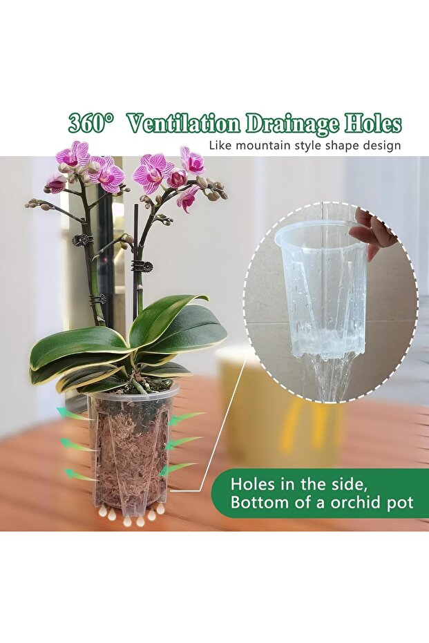 مجموعة أواني زهور الأوركيد البوليفية - 2