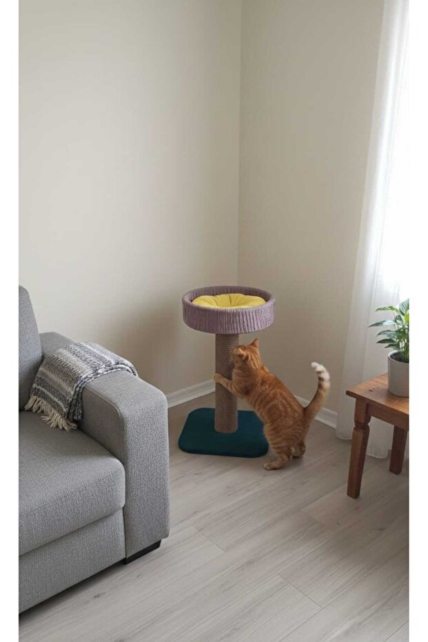 Cat Scratching Bed - 6