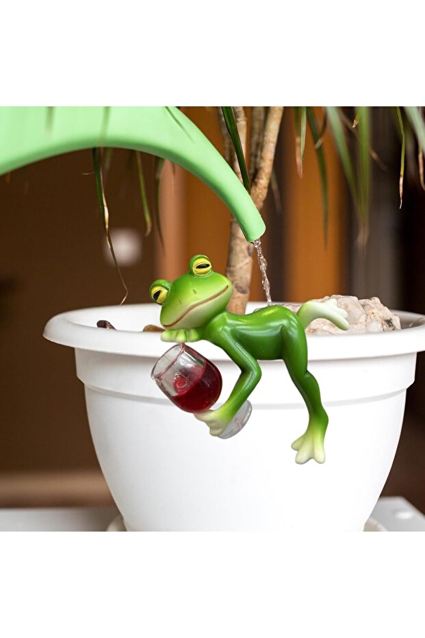 ضفدع زينة الحديقة - 3