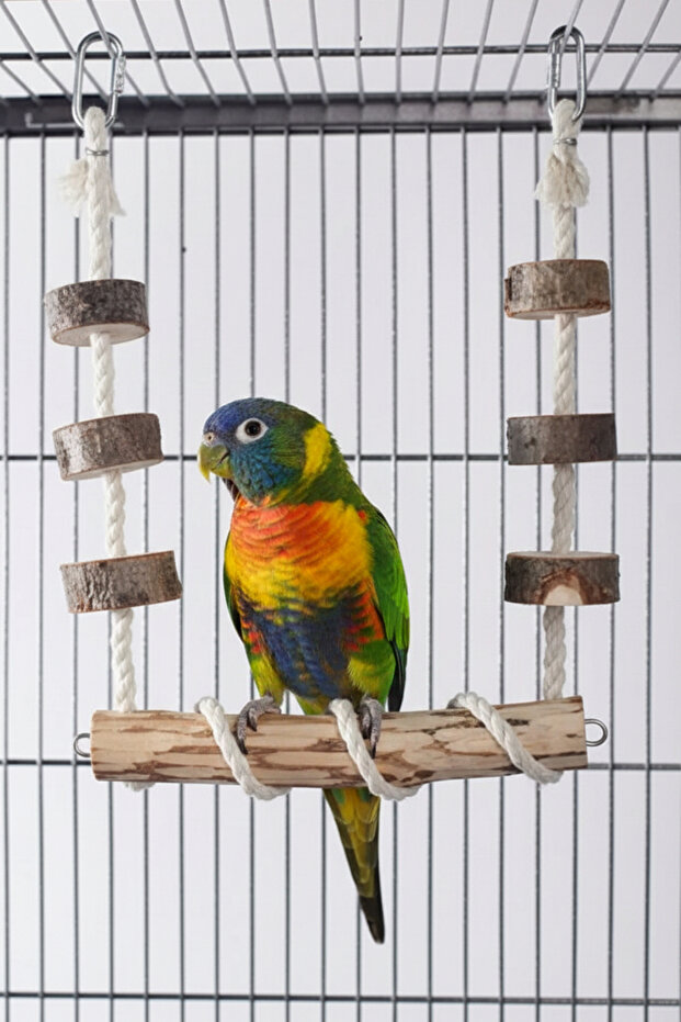 Wooden Bird Cage Combination (Bird Swing) | Natural Wooden Toy | Entertainment & Activity Accessory