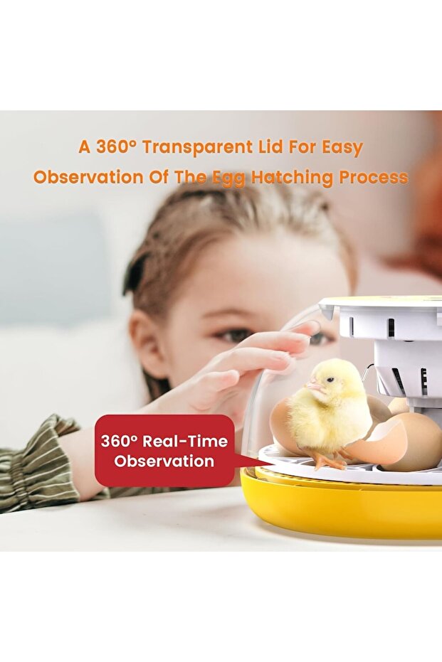 Automatic Incubator for 12 Eggs - 2