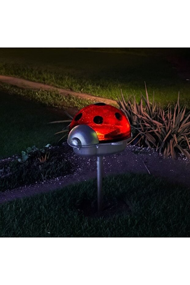 Mini Ladybug Solar Lamp 5cm - 1