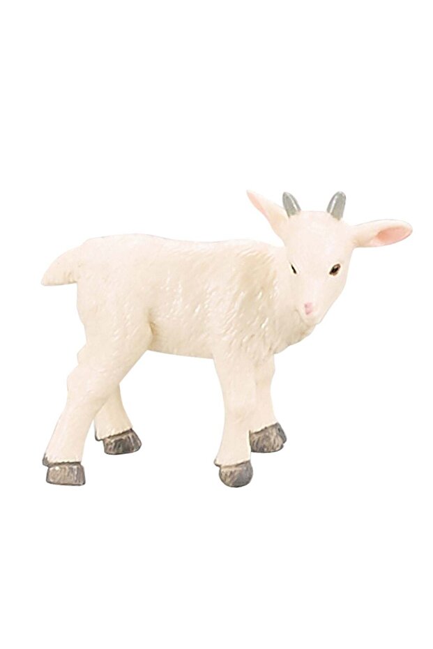 Pui Animale de Ferma - 3