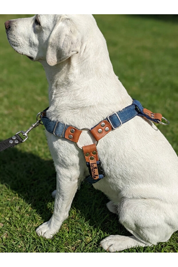 Dog Chest Harness Large Breed Adjustable Front and Back Pulling Harness Denim Blue