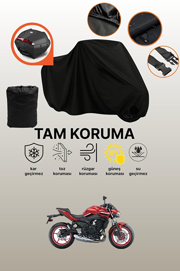 Black Tail Bag Compatible with Kawasaki Z 650 Compatible Motorcycle Canvas