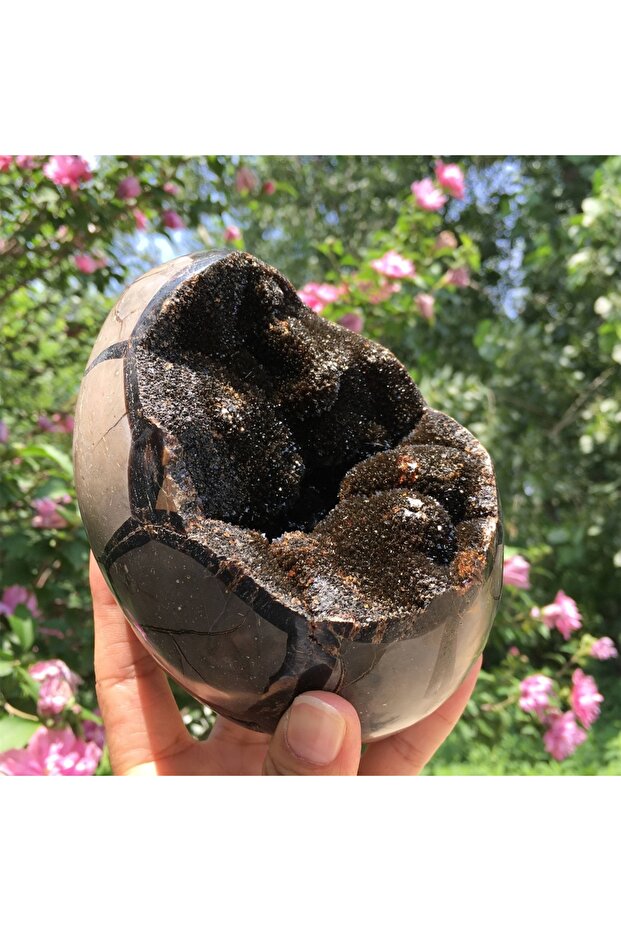 بيضة كريستال التنين ذات الطبقات السبع، وزنها 400-600 غرام، من فئة AA+ - كوارتز أسود وبني يحتوي على معادن مختلطة، مع
