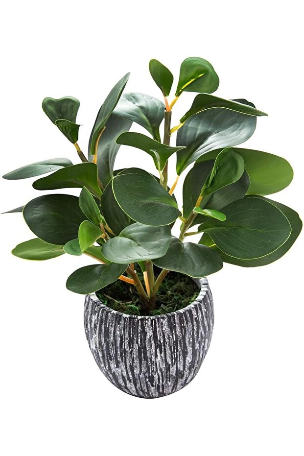 Artificial Potted Fiddle Leaf Plant with Cement Planter,Small Faux Evergreen Tree for Indoor Home and Office Decor,11 Inch