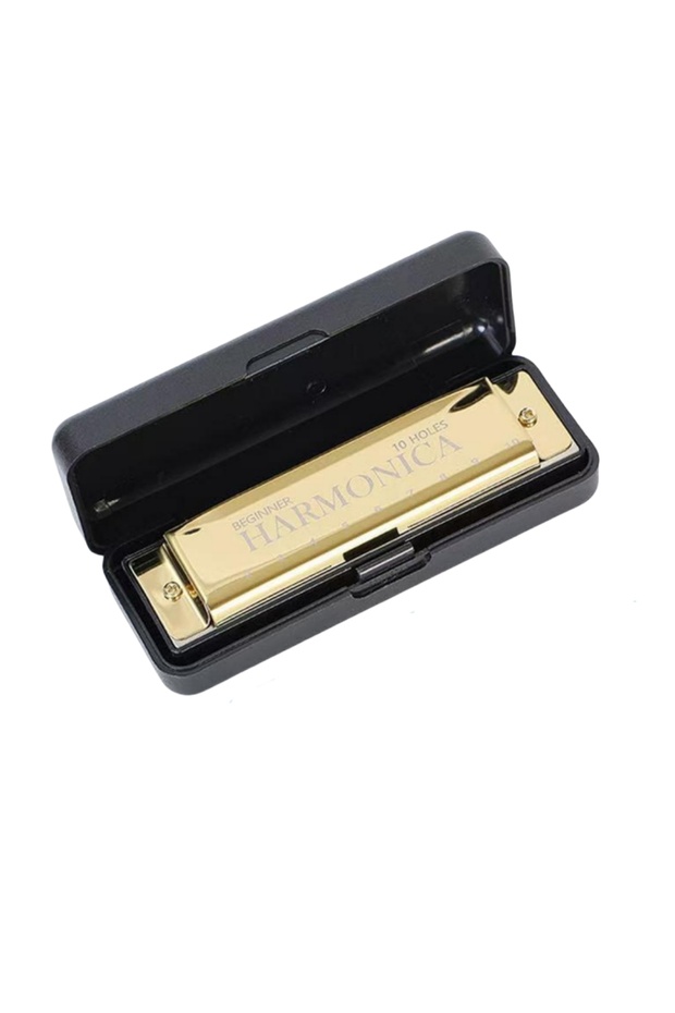 Red Harmonica 10 Holes Diatonic Key of C Blues Harp Mouth Organ Musical Instrument for Beginners Kid