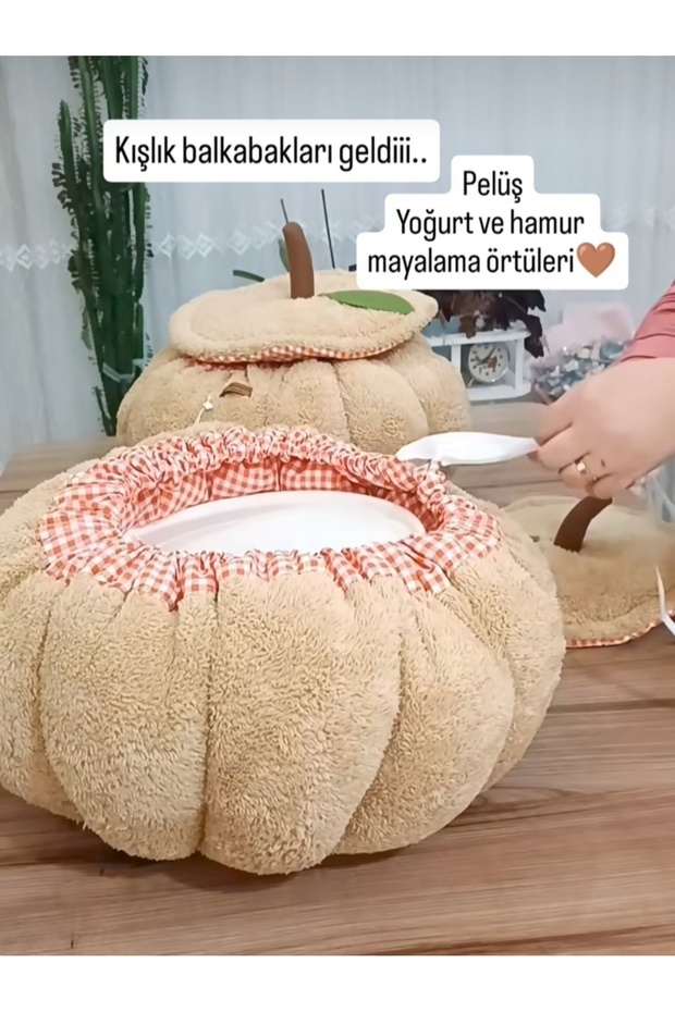 Yoğurt mayalanma minderi - 3