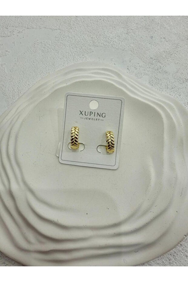 Xuping 14k Başak Model Halka Çelik Küpe - 1