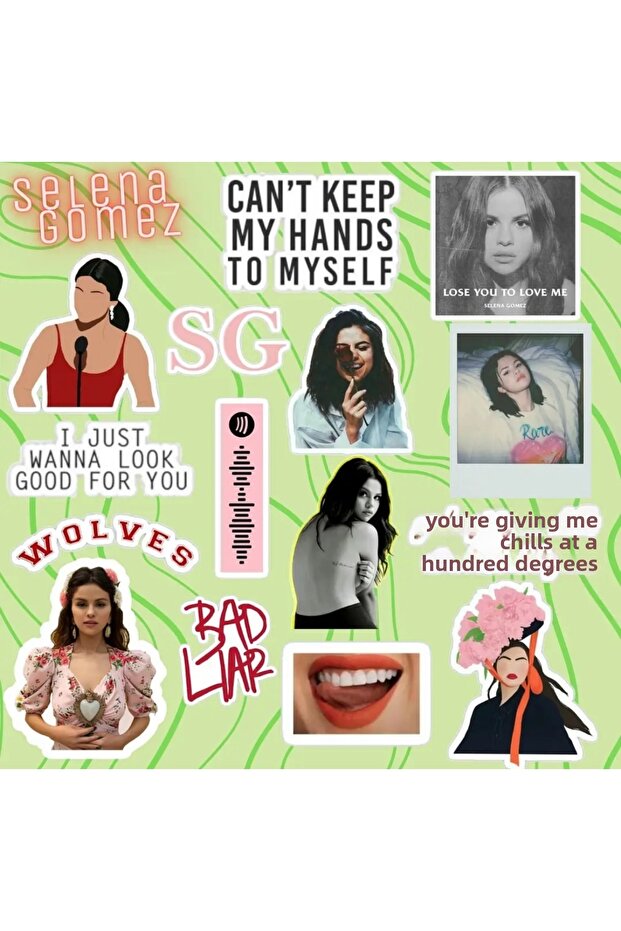 Selena Gomez Sticker Set | Laptop Notebook Phone Sticker Journal