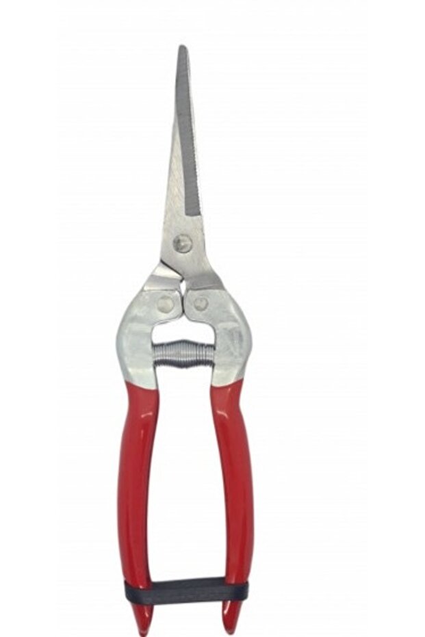 Right-hand vegetable/fruit picker - 7