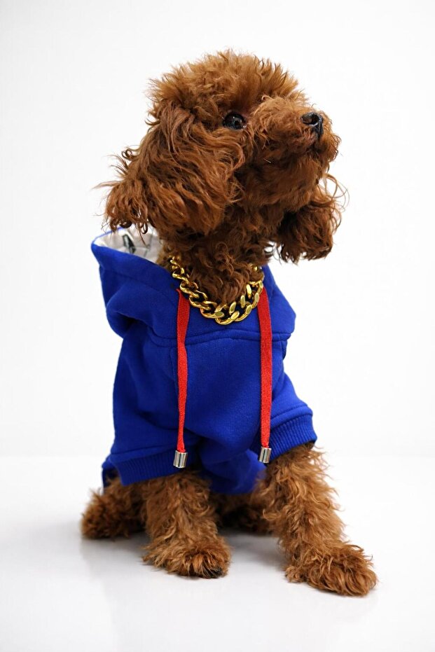 Dog Sweatshirt, Small Breed Dog Outfit