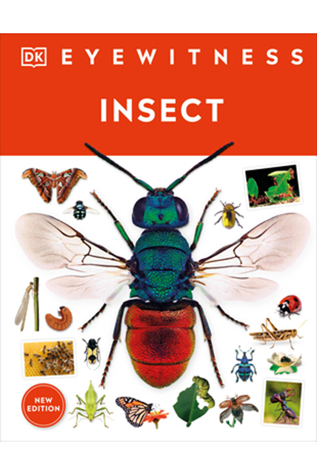 Insect - 1