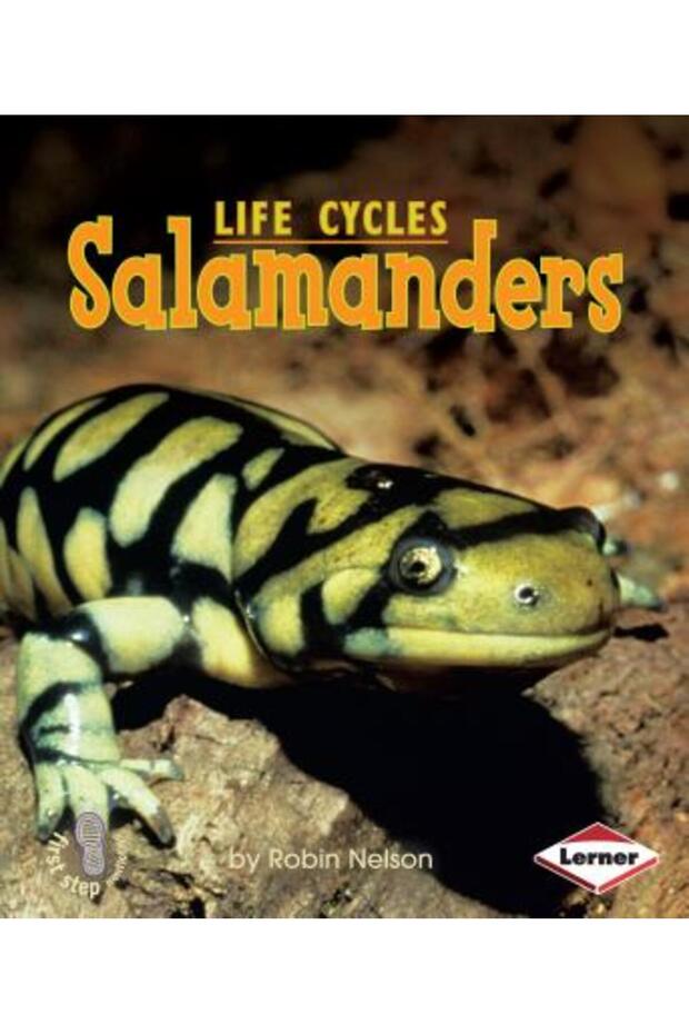 Salamanders - 1