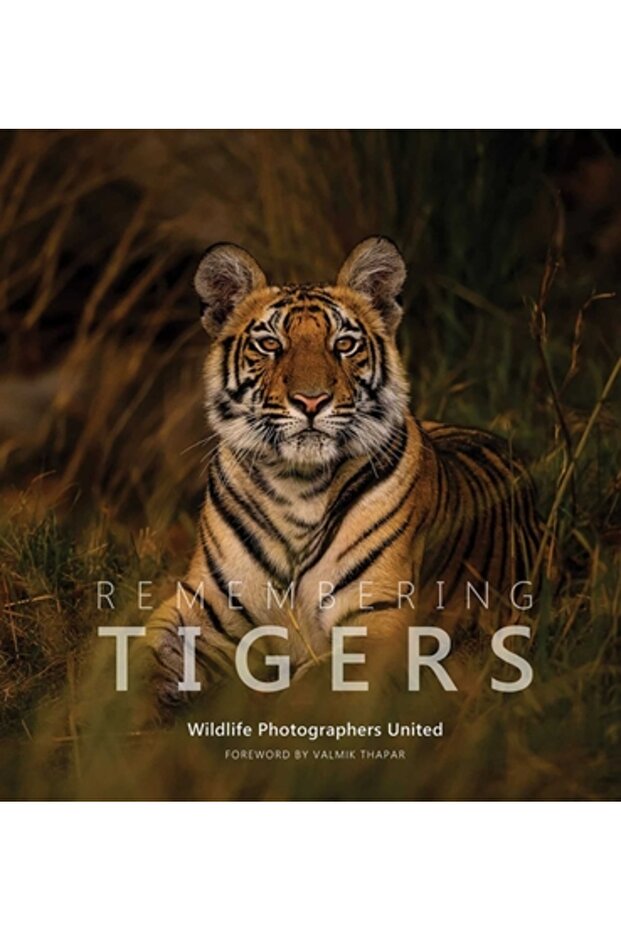 Remembering Tigers - 1