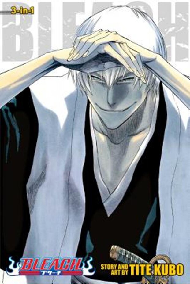 Bleach, Volumele 19-21 - 1