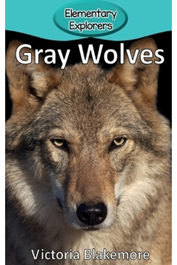 Gray Wolves - 1