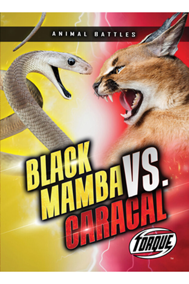 Black Mamba vs. Caracal - 1