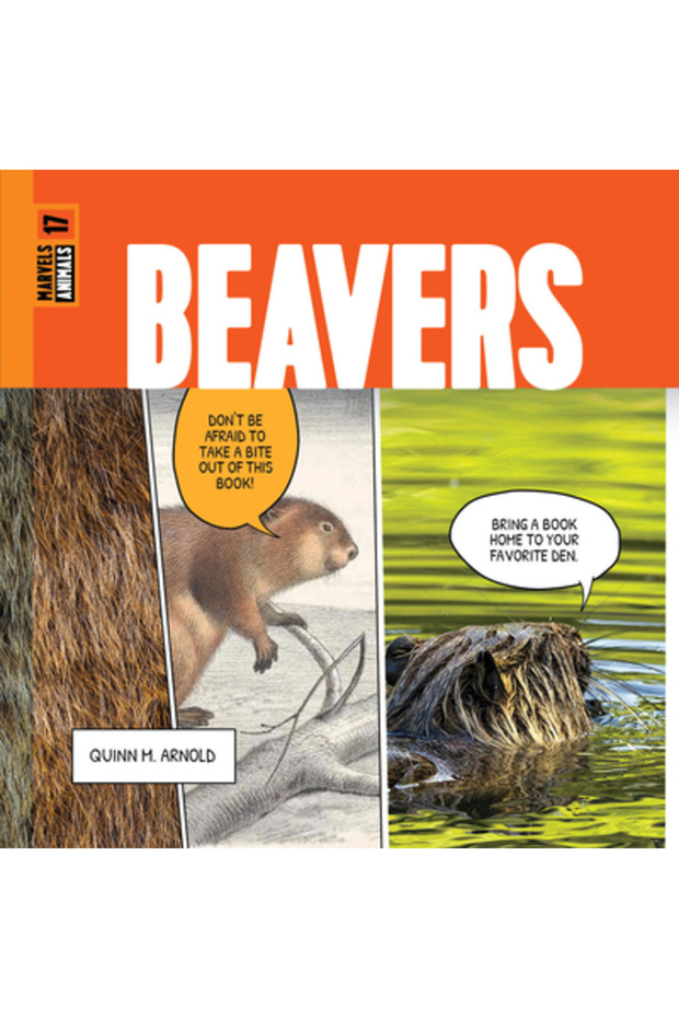 Beavers - 1